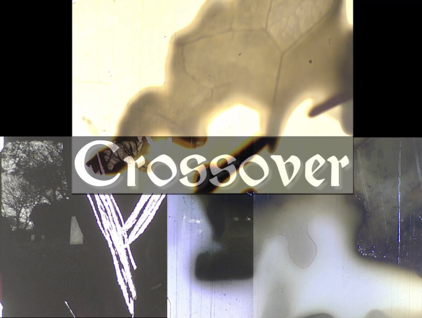Untitled design - 3